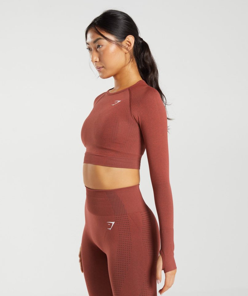 Women's Gymshark Vital Seamless 2.0 Cropped Tops Brown | NZ 1DJXGR